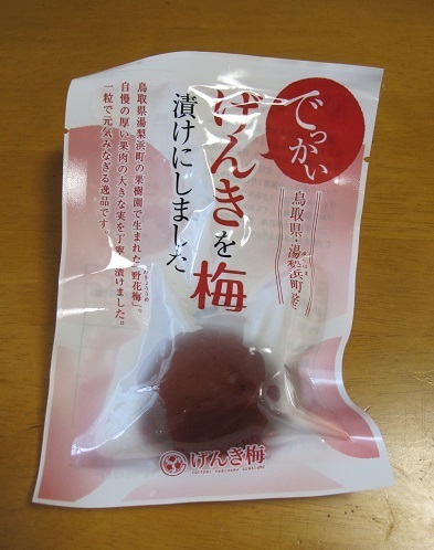 うめ.JPG